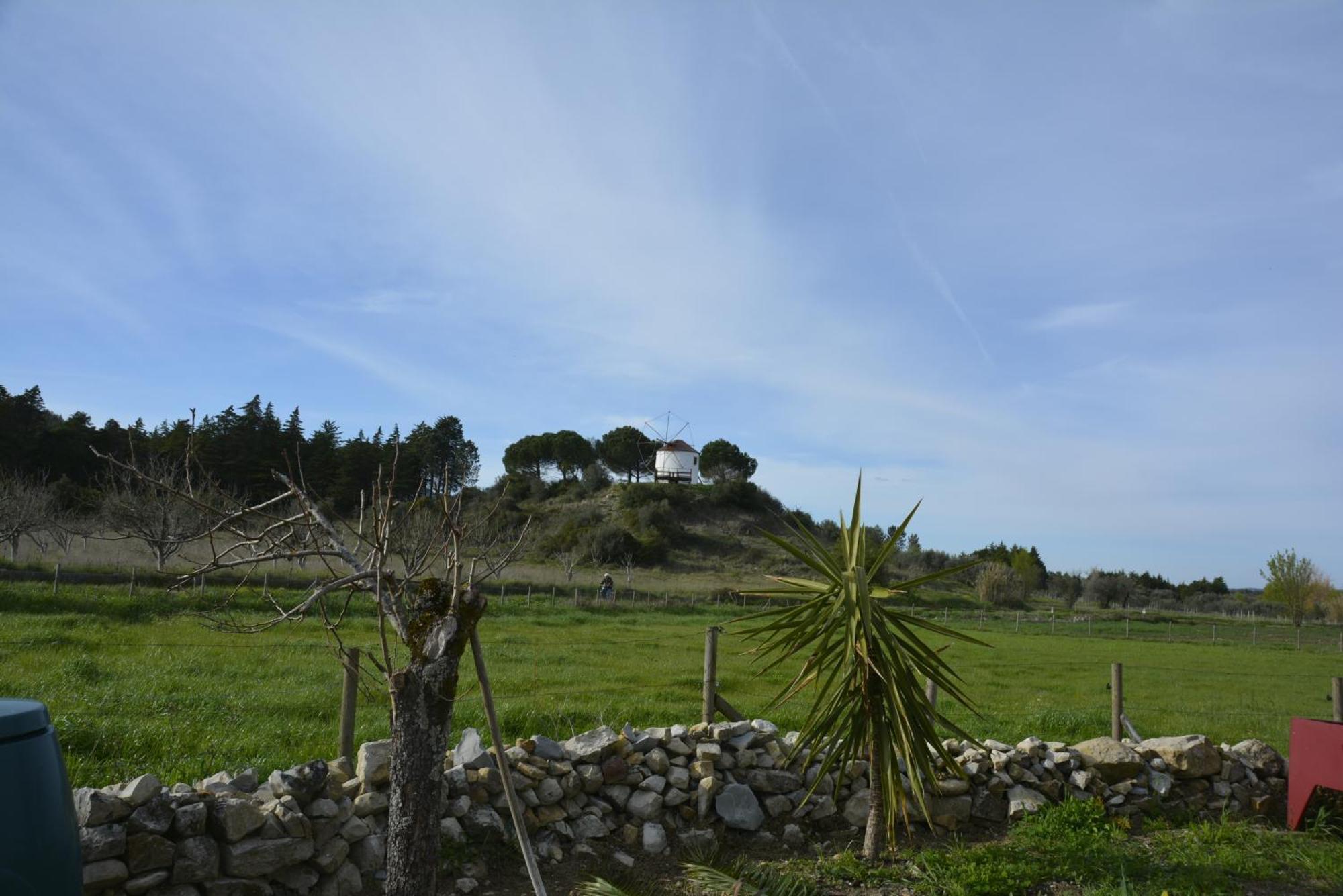 Casa Da Lima - Nestled In Nature On Santiago'S And Fatima'S Path, Close To Coimbra And Rabacal Alvorge Exterior photo